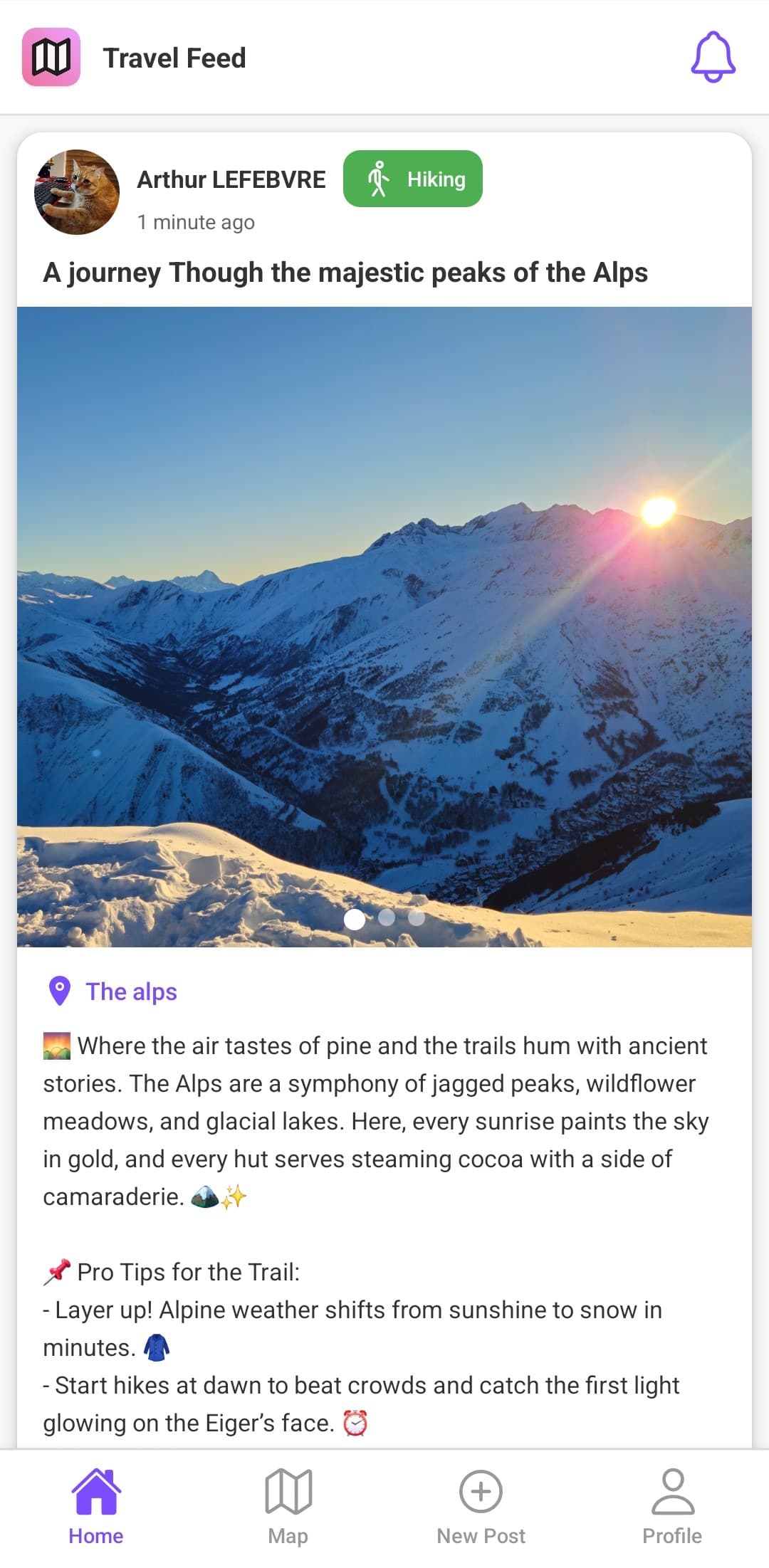 Wanderly Screenshot - Share